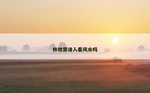 林地需請人看風(fēng)水嗎