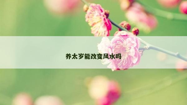 養太歲能改變風水嗎