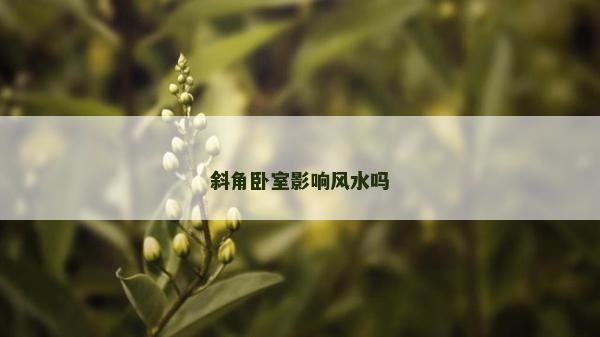 斜角臥室影響風水嗎