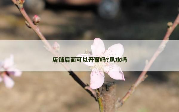 店鋪后面可以開窗嗎?風水嗎