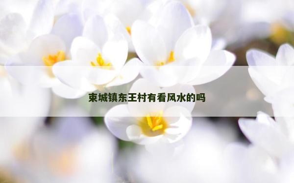 束城鎮(zhèn)東王村有看風(fēng)水的嗎 束城鎮(zhèn)東王村有看風(fēng)水的嗎