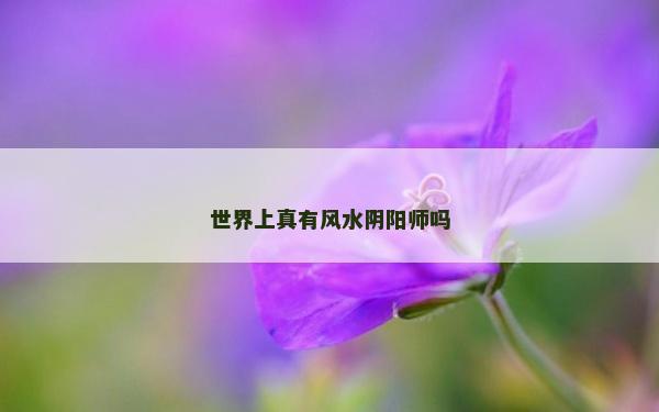 世界上真有風(fēng)水陰陽(yáng)師嗎