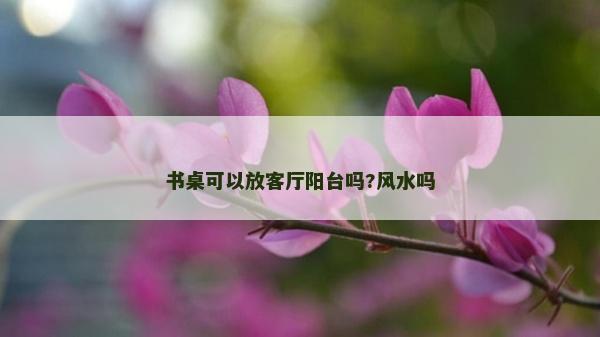 書桌可以放客廳陽臺嗎?風水嗎 書桌可以放客廳陽臺嗎?風水嗎