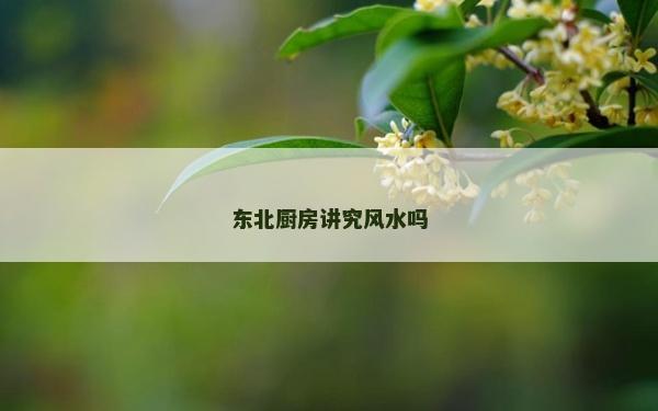 東北廚房講究風(fēng)水嗎 東北廚房講究風(fēng)水嗎