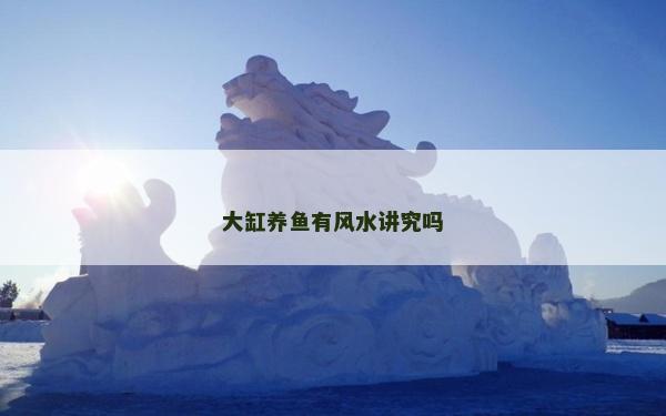 大缸養(yǎng)魚有風(fēng)水講究嗎 大缸養(yǎng)魚有風(fēng)水講究嗎