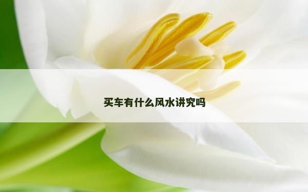 買車有什么風(fēng)水講究嗎