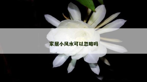 家居小風水可以忽略嗎