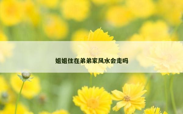 姐姐住在弟弟家風水會走嗎 姐姐住在弟弟家風水會走嗎