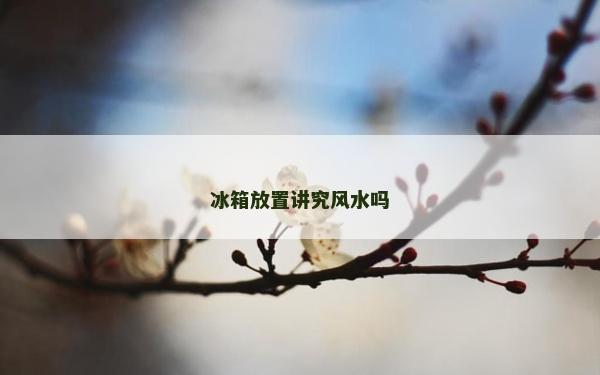 冰箱放置講究風水嗎