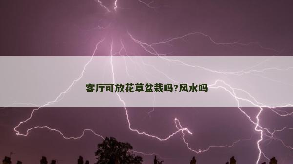 客廳可放花草盆栽嗎?風水嗎