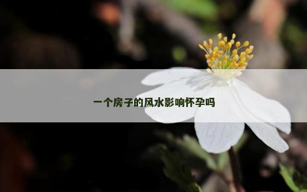 一個房子的風水影響懷孕嗎 一個房子的風水影響懷孕嗎