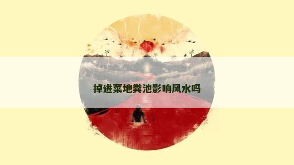 掉進菜地糞池影響風水嗎