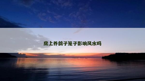 房上養鴿子籠子影響風水嗎 房上養鴿子籠子影響風水嗎