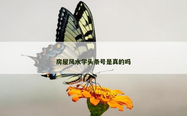 房屋風(fēng)水學(xué)頭條號是真的嗎