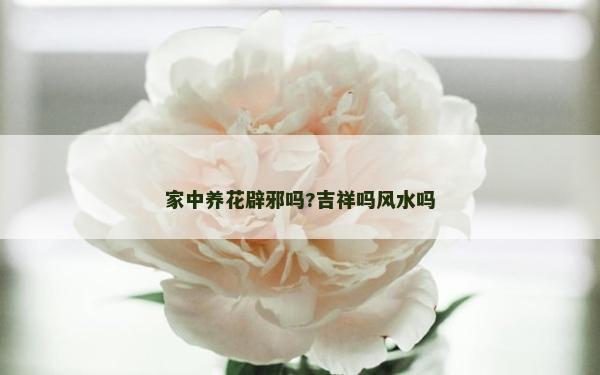 家中養花辟邪嗎?吉祥嗎風水嗎