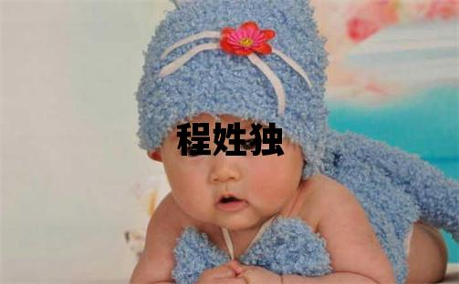程姓獨特優美的男孩名字