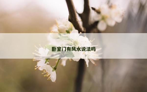 臥室門有風水說法嗎