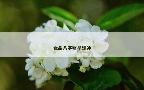 女命八字財(cái)星逢沖