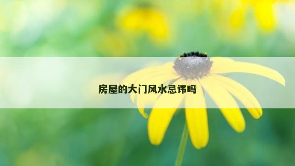 房屋的大門風水忌諱嗎
