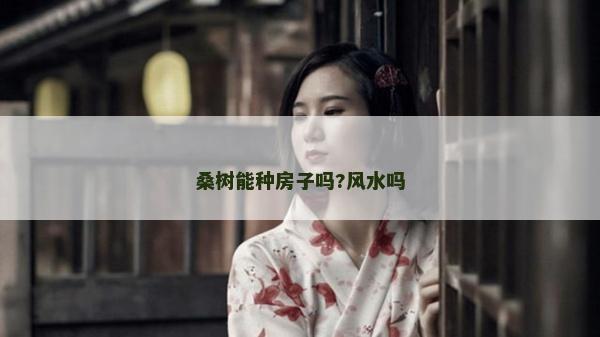 桑樹能種房子嗎?風水嗎