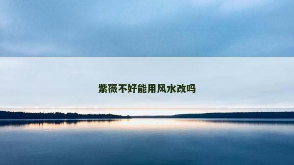 紫薇不好能用風水改嗎