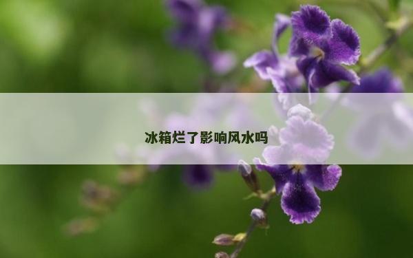 冰箱爛了影響風(fēng)水嗎