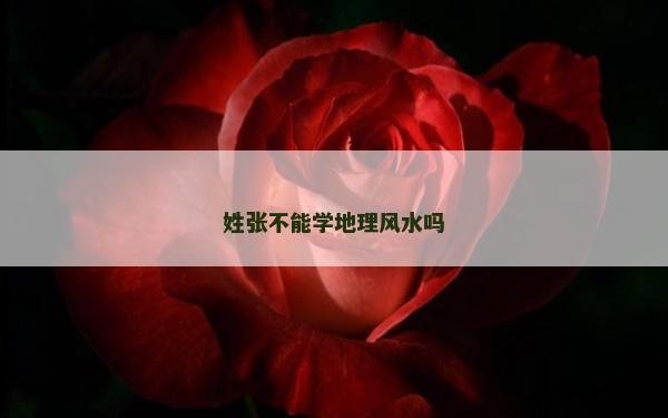 姓張不能學地理風水嗎