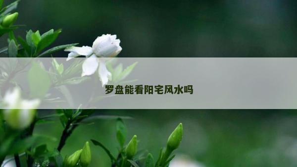 羅盤能看陽宅風水嗎