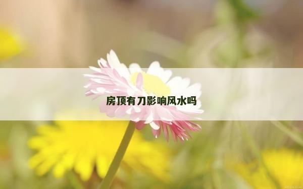 房頂有刀影響風水嗎 房頂有刀影響風水嗎