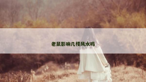 老鼠影響幾樓風(fēng)水嗎