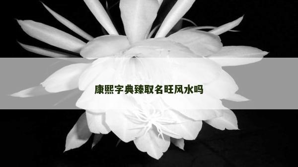 康熙字典臻取名旺風水嗎 康熙字典臻取名旺風水嗎