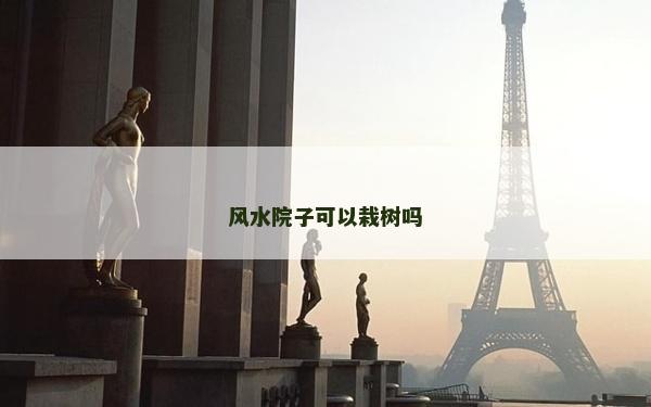 風水院子可以栽樹嗎