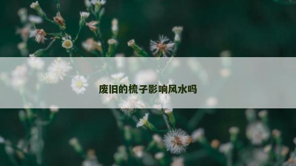 廢舊的梳子影響風水嗎