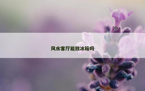 風水客廳能放冰箱嗎