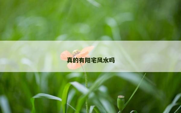 真的有陽宅風(fēng)水嗎