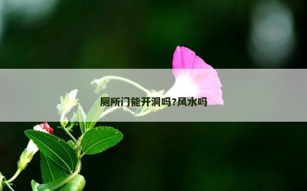 廁所門能開洞嗎?風水嗎 廁所門能開洞嗎?風水嗎