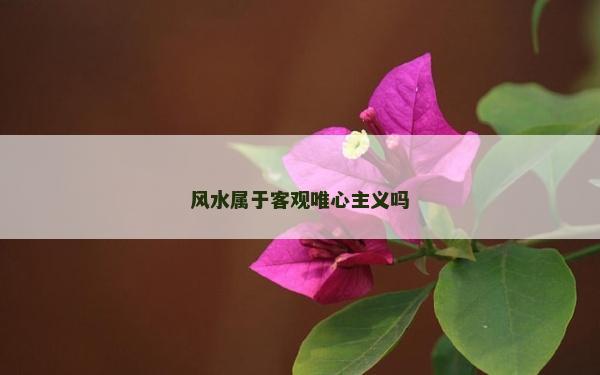 風水屬于客觀唯心主義嗎