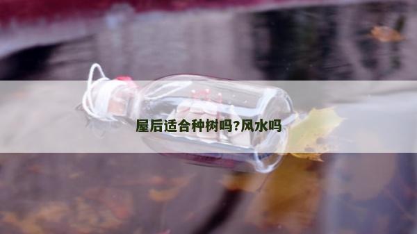 屋后適合種樹(shù)嗎?風(fēng)水嗎