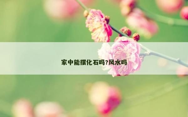 家中能擺化石嗎?風水嗎