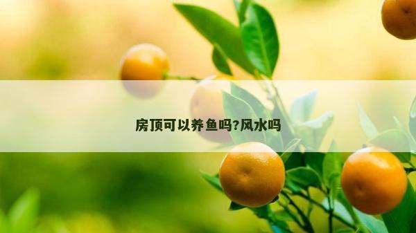 房頂可以養(yǎng)魚嗎?風(fēng)水嗎 房頂可以養(yǎng)魚嗎?風(fēng)水嗎