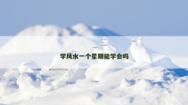 學(xué)風(fēng)水一個星期能學(xué)會嗎 學(xué)風(fēng)水一個星期能學(xué)會嗎