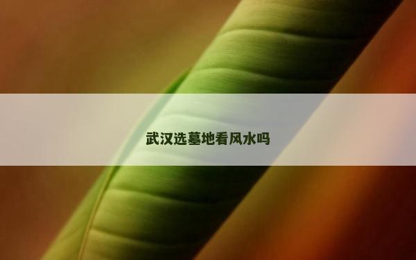 武漢選墓地看風(fēng)水嗎