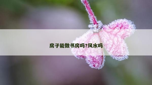 房子能做書房嗎?風(fēng)水嗎 房子能做書房嗎?風(fēng)水嗎