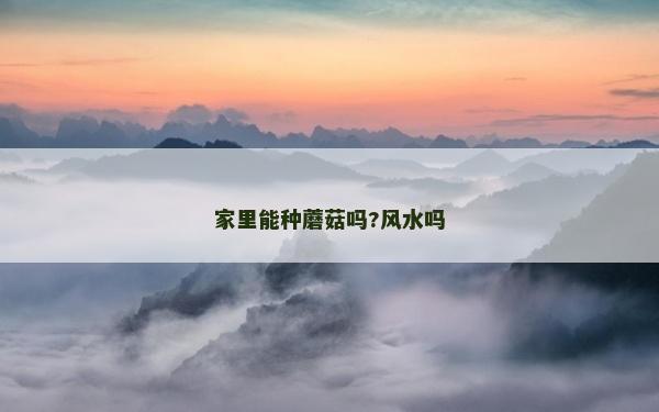 家里能種蘑菇嗎?風水嗎