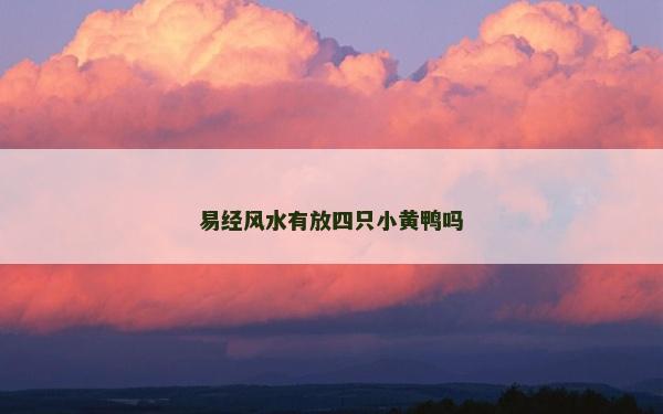 易經(jīng)風(fēng)水有放四只小黃鴨嗎