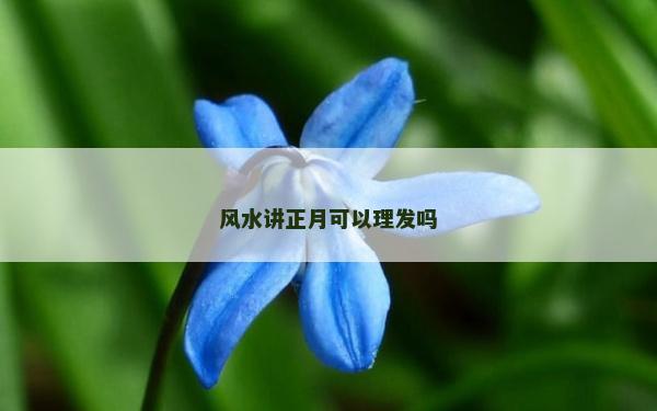 風水講正月可以理發嗎 風水講正月可以理發嗎