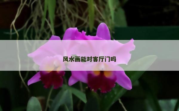 風水畫能對客廳門嗎 風水畫能對客廳門嗎