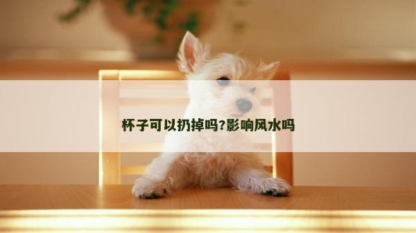 杯子可以扔掉嗎?影響風水嗎