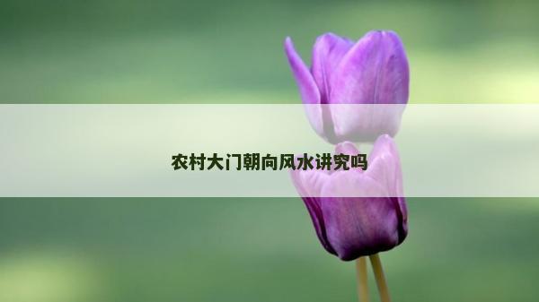 農村大門朝向風水講究嗎