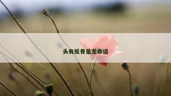 頭有反骨是龍命運